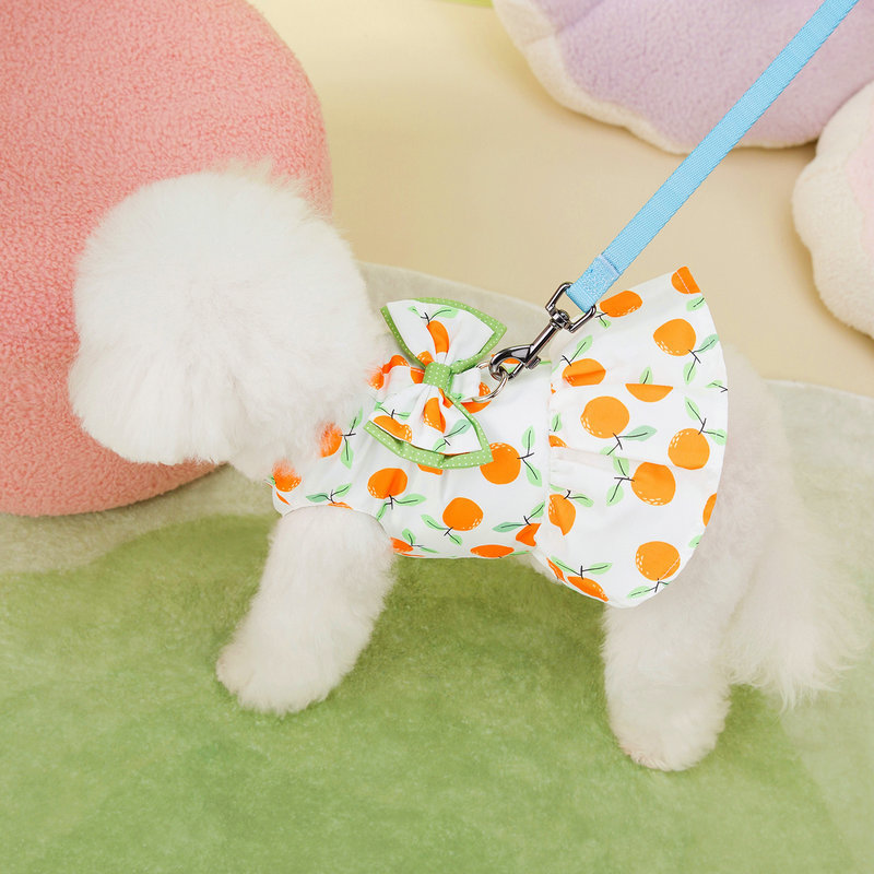 https://fulmo-img-server.com/perry-dog/b704c681-a7ec-48b3-8e55-775ae8616997.jpg