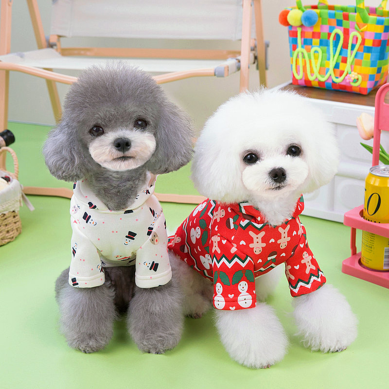 https://fulmo-img-server.com/perry-dog/b70a990c-d466-4d71-b073-109bbf19f914.jpg