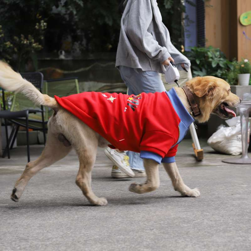 犬服  大型犬用ハッピーデー柄スポーツウェアTシャツ