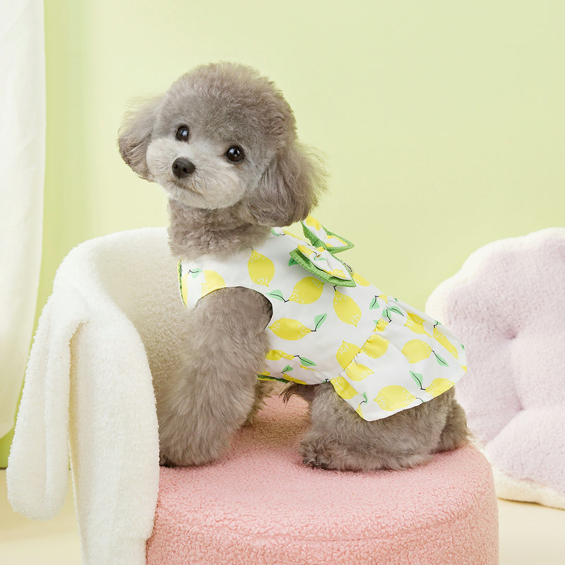 https://fulmo-img-server.com/perry-dog/b7df12bb-d154-49b1-8a6b-65658417697f.jpg