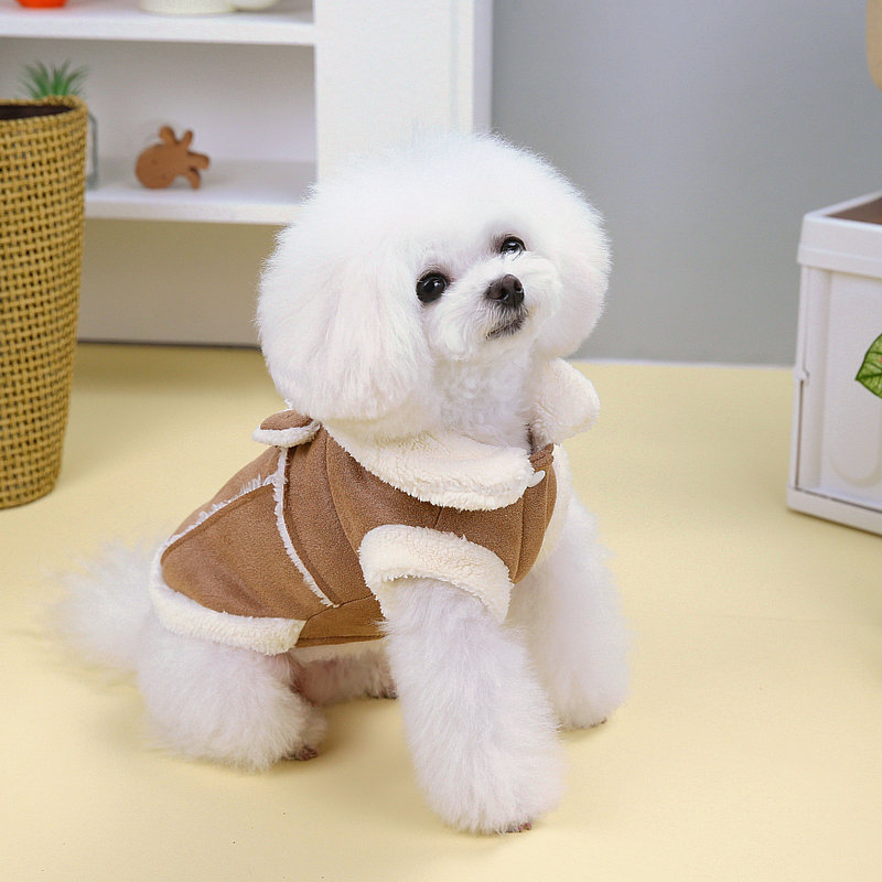 https://fulmo-img-server.com/perry-dog/b854937d-fc63-4646-a426-4a05f434befc.jpg