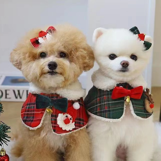 https://fulmo-img-server.com/perry-dog/b8898276-e8c0-4b93-8a59-ad5ec07aa869.jpg