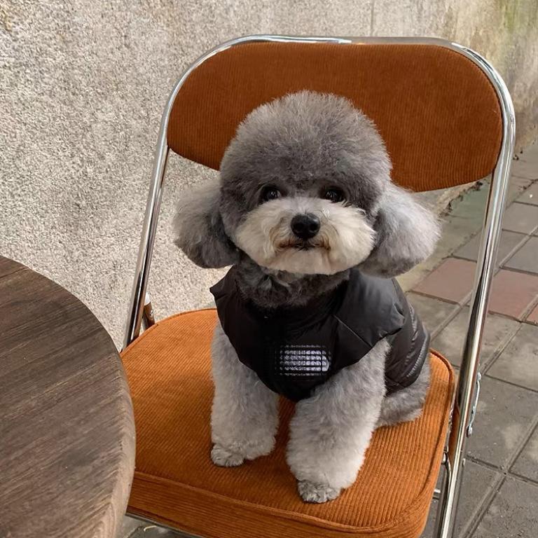 犬服 小型犬用スポーティー中綿入りベスト