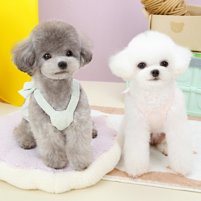 https://fulmo-img-server.com/perry-dog/b8bf7b0a-47a5-4361-9c78-e38de591c825.jpg