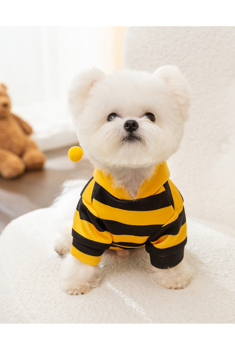 https://fulmo-img-server.com/perry-dog/b964df98-b5fc-4eac-a09b-e3ec4bb2cf02.jpg