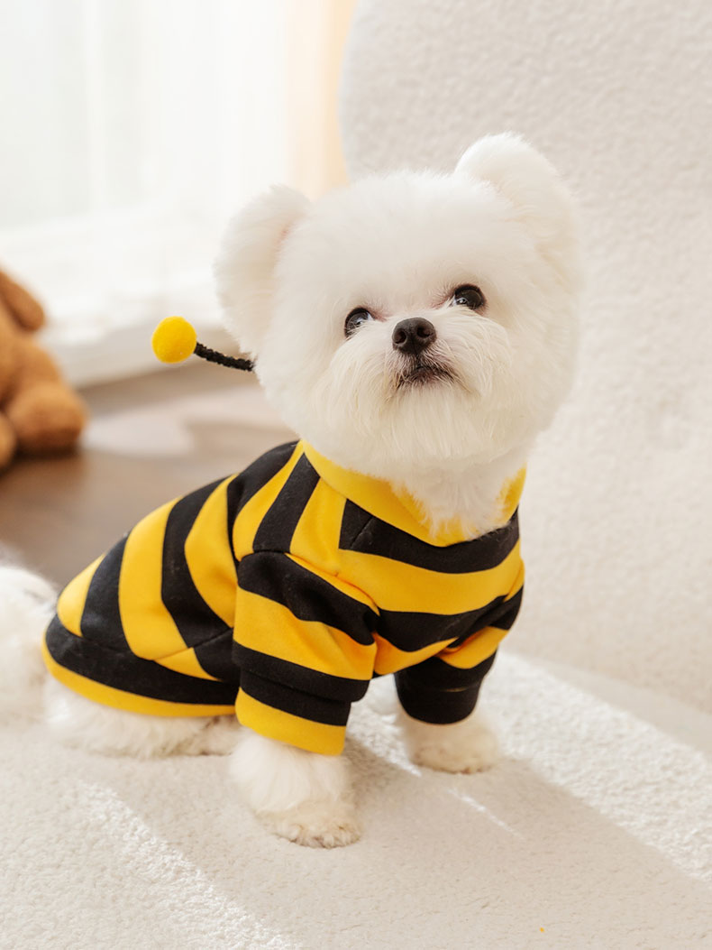 https://fulmo-img-server.com/perry-dog/ba592d54-749b-4719-aaeb-d8cdfe7c409c.jpg