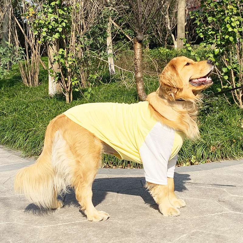 犬服  涼感メッシュ生地の大型犬用Tシャツ