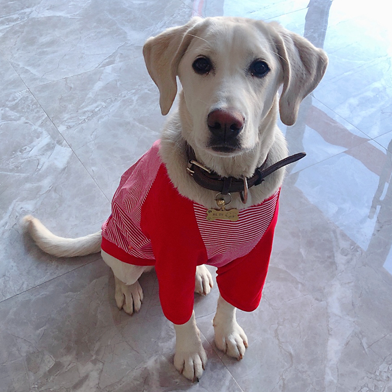 犬服 和風法被風袖なしタンクトップ