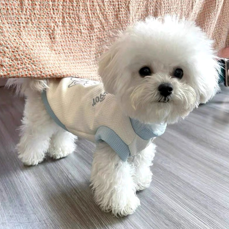 https://fulmo-img-server.com/perry-dog/bbea2553-9e7d-44d2-9823-c97887d89426.jpg