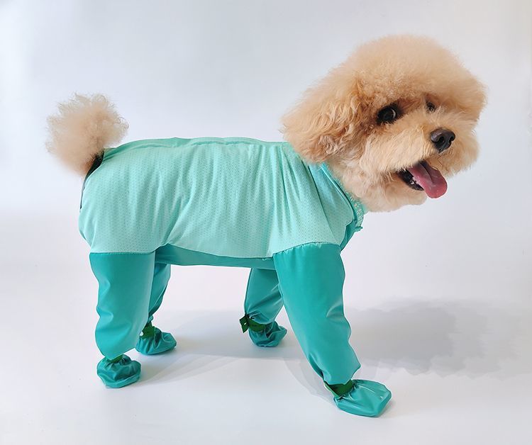 https://fulmo-img-server.com/perry-dog/bd114335-aadc-4e0f-9e6d-decf07fd1681.jpg