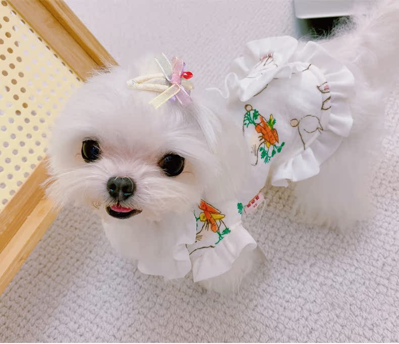犬服 うさぎと人参刺繍の袖フリル付きワンピース