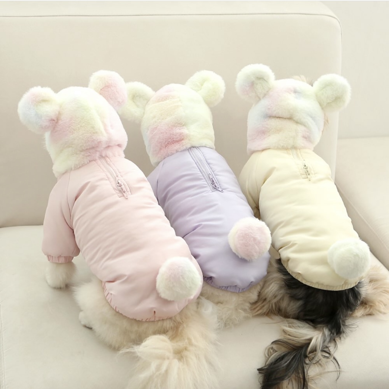 犬服 ふわもこくまさんダウンジャケット