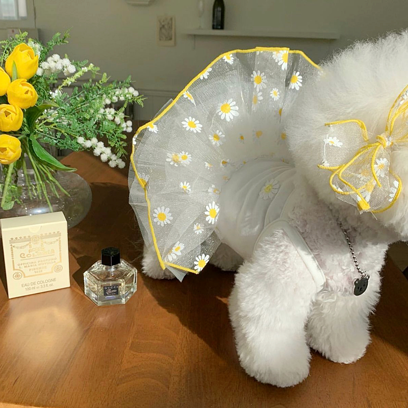 犬服 花畑の妖精チュチュドレス