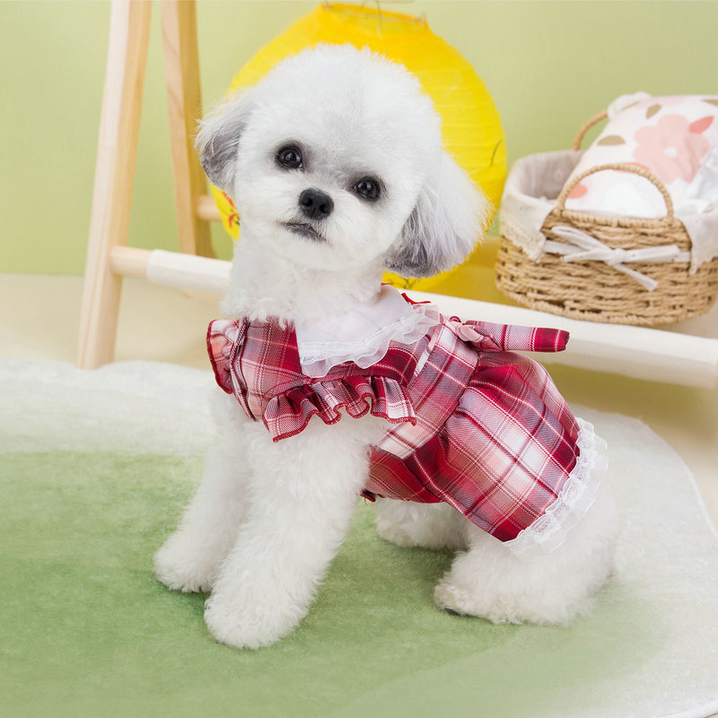 https://fulmo-img-server.com/perry-dog/bf84be41-5eec-437a-b601-691301a05903.jpg