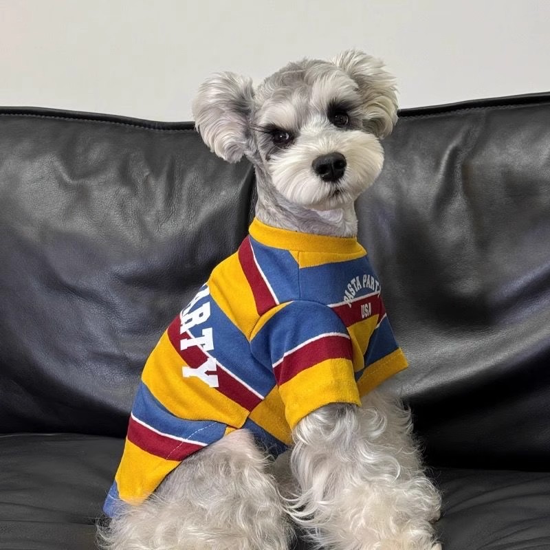 https://fulmo-img-server.com/perry-dog/bfbb598a-0b05-4d57-8743-5269c4b5b41d.jpg