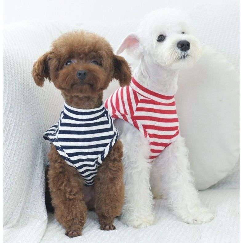 犬服　普段着Tシャツ