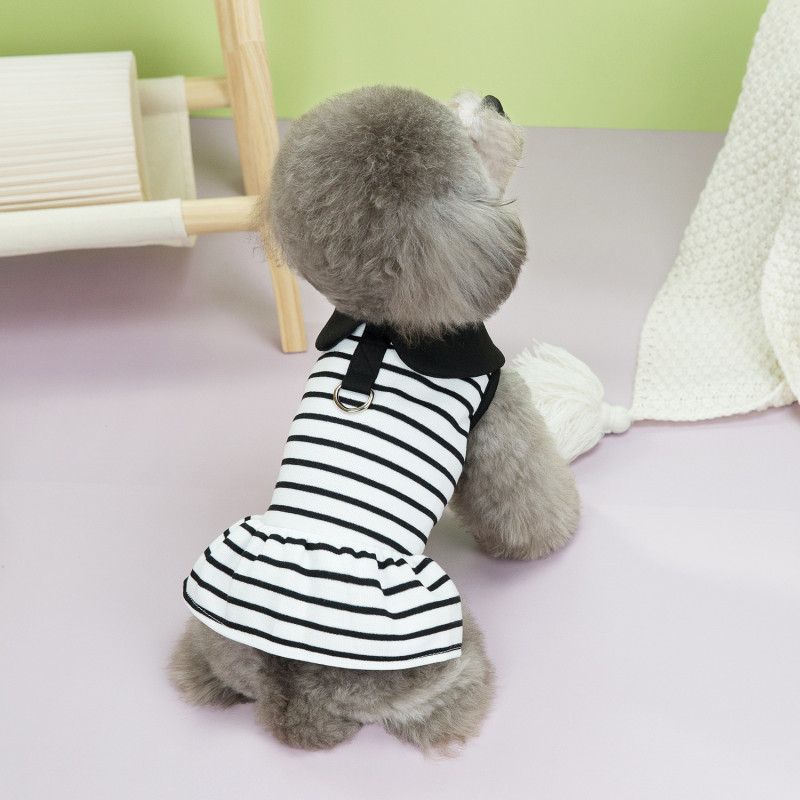 https://fulmo-img-server.com/perry-dog/c0f588a4-4bad-4582-8ca3-a144c70544ce.jpg