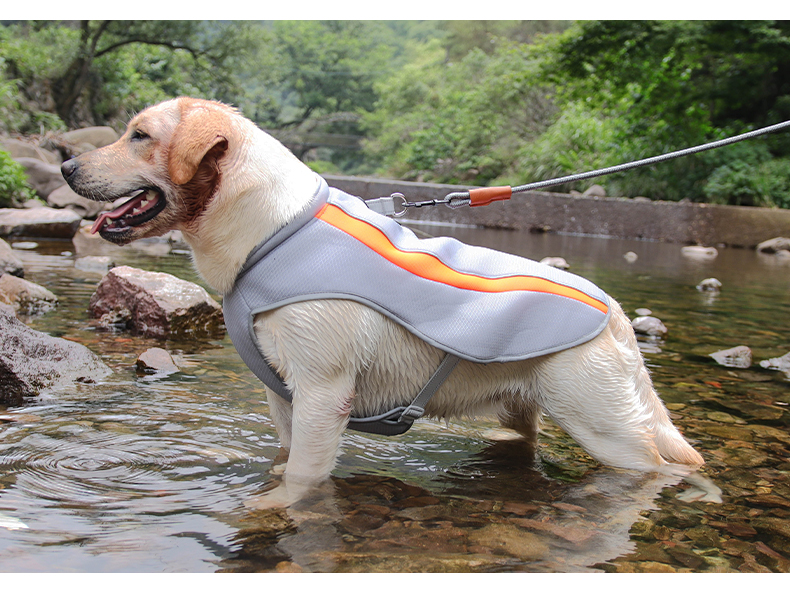犬服 ひんやり涼感アウトドアベスト