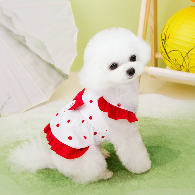 https://fulmo-img-server.com/perry-dog/c29ef0b9-e856-4faf-900d-d6f4a560263e.jpg