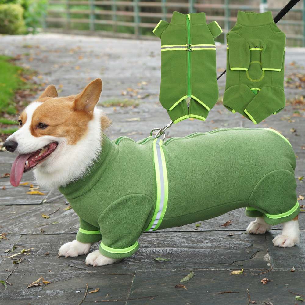 https://fulmo-img-server.com/perry-dog/c304ffb9fb314fbabf68ec315bda6524.jpg