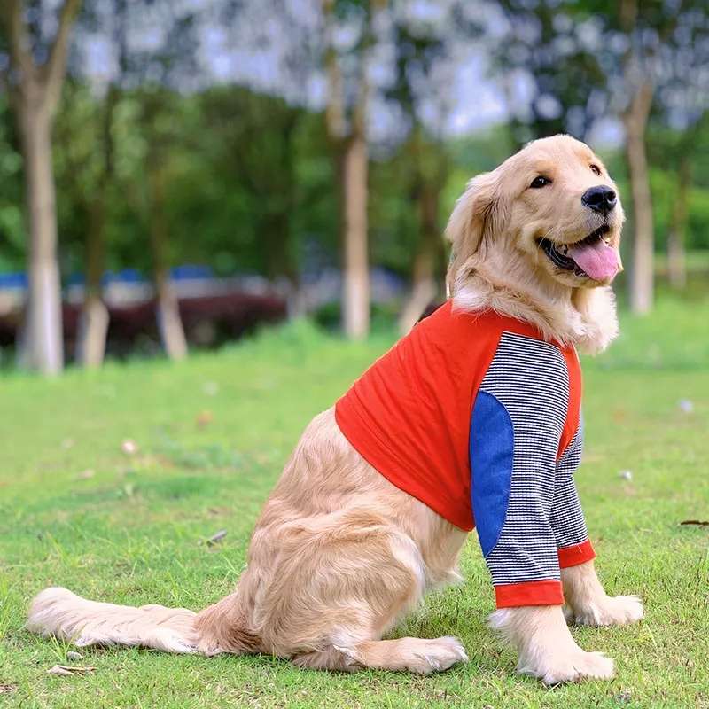 犬服  大型犬用Tシャツ