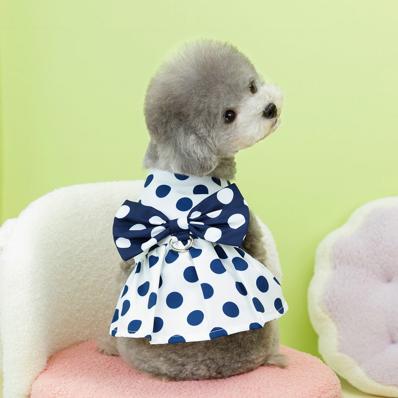 https://fulmo-img-server.com/perry-dog/c4681af1-f473-48f5-b587-095f79a7d29e.jpg