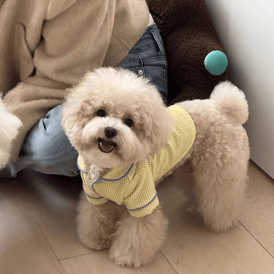 犬服 親子おそろい格子柄パジャマ