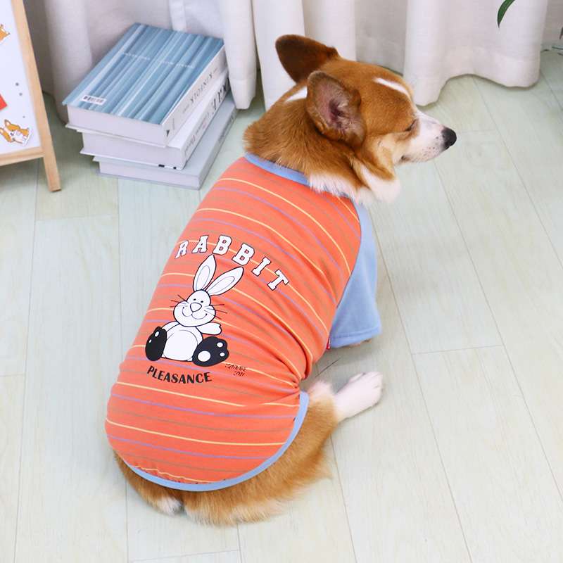 犬服  コーギー用ストライプ柄シャツ