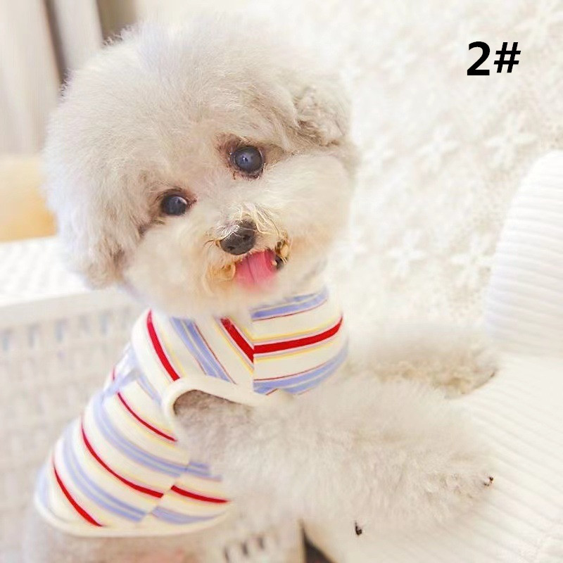 https://fulmo-img-server.com/perry-dog/c4dfa166-3ebd-4438-9689-86def8b4a4af.jpg
