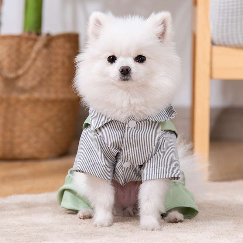 犬服  ふわもこワンちゃんのオシャレつなぎ