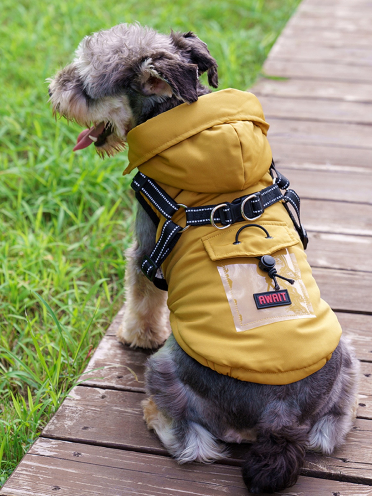 犬服 ふわもこ帆船ダウンジャケット