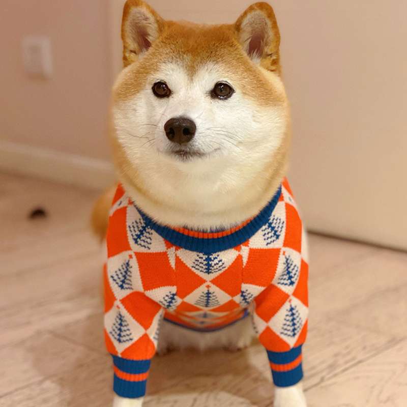 犬服 冬色菱形柄ニットセーター