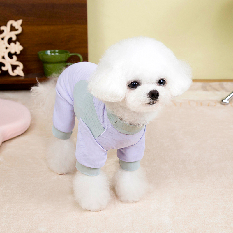 犬服 さわやか清涼つなぎ服