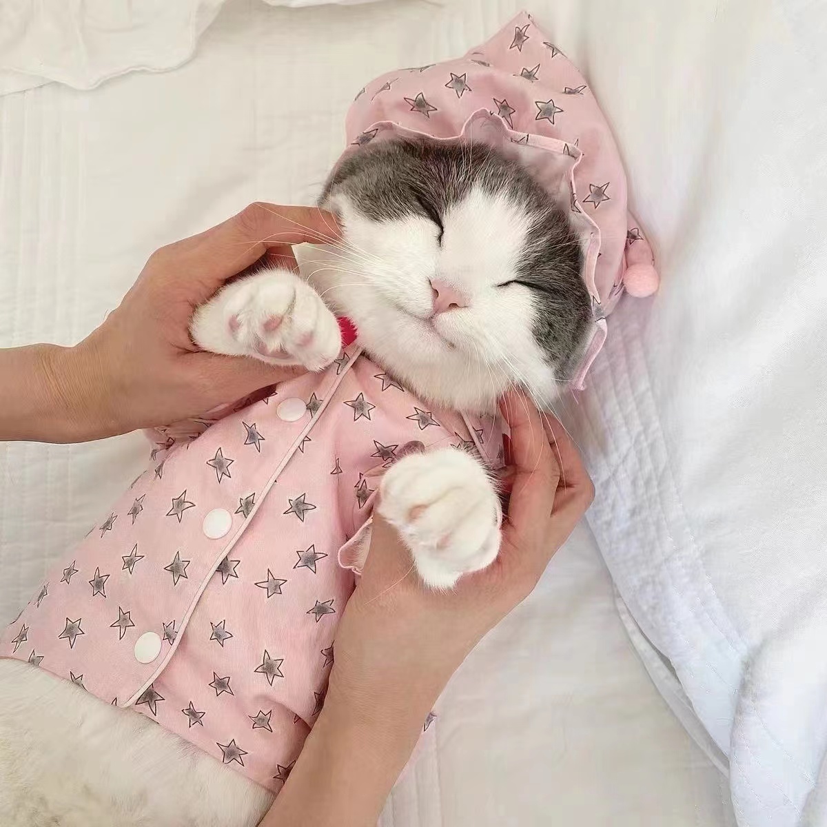 犬服 おやすみ星空おねむパジャマセット