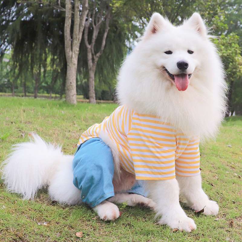 犬服  もこもこ大型犬用ボーダーつなぎ