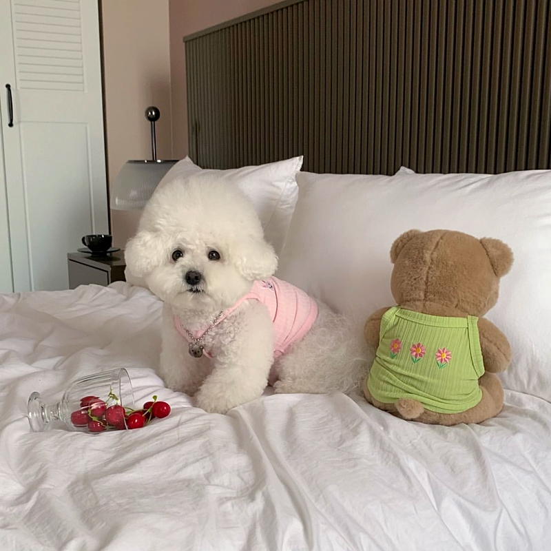 犬服 お花畑リブ編みタンクトップ