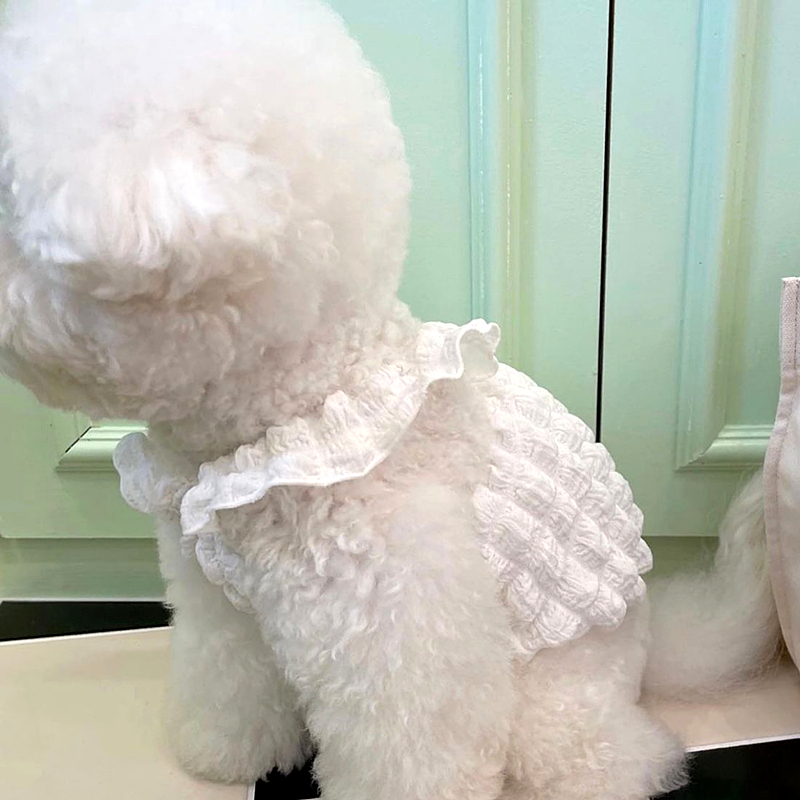 犬服 ふんわりフリルティアラ