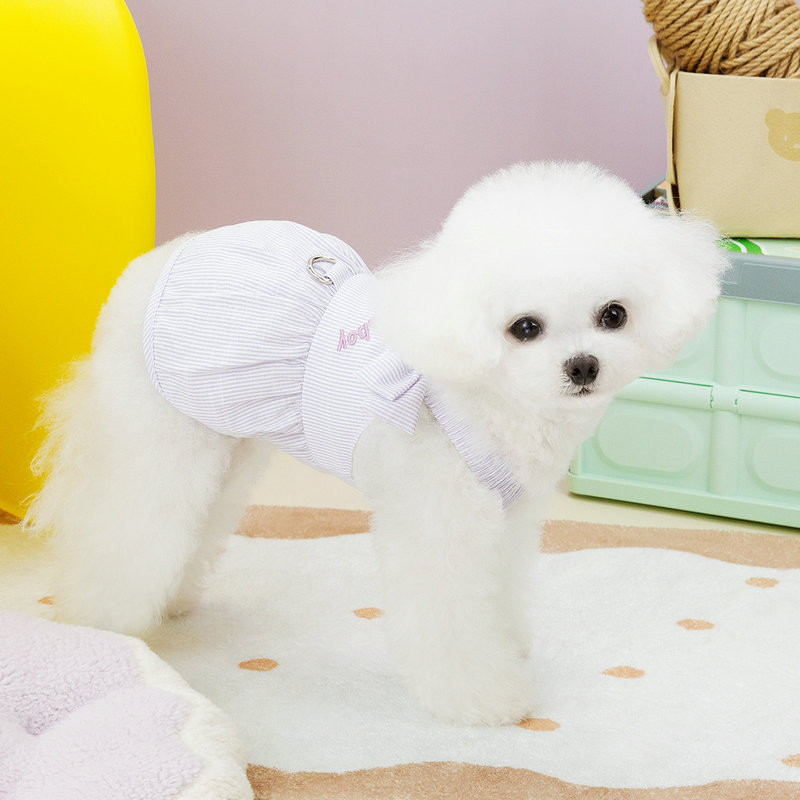 https://fulmo-img-server.com/perry-dog/cb7c92b0-501c-4f06-9132-6e804d0378a8.jpg