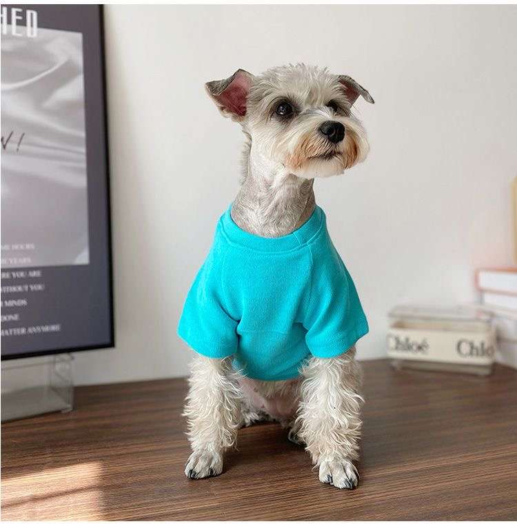 犬服  小型犬用おしゃれTシャツ