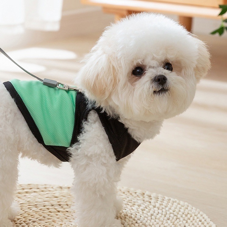 https://fulmo-img-server.com/perry-dog/cc47b269-bc02-4f20-a457-ef08fa760262.jpg