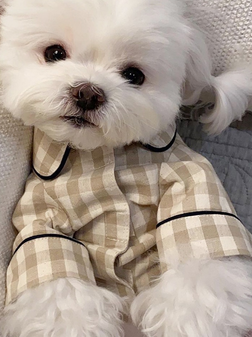 犬服 おやすみ格子模様パジャマ