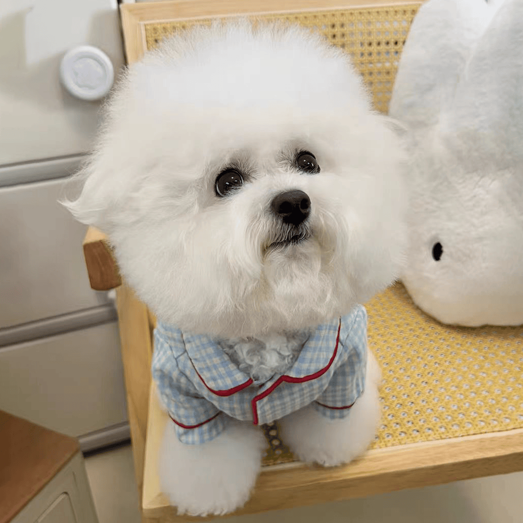 犬服 ふわもこ格子柄おやすみパジャマ