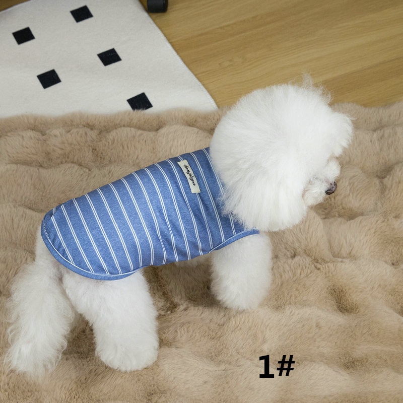 https://fulmo-img-server.com/perry-dog/cd4f177b-ed82-49a7-98fd-e9804d0ff95c.jpg