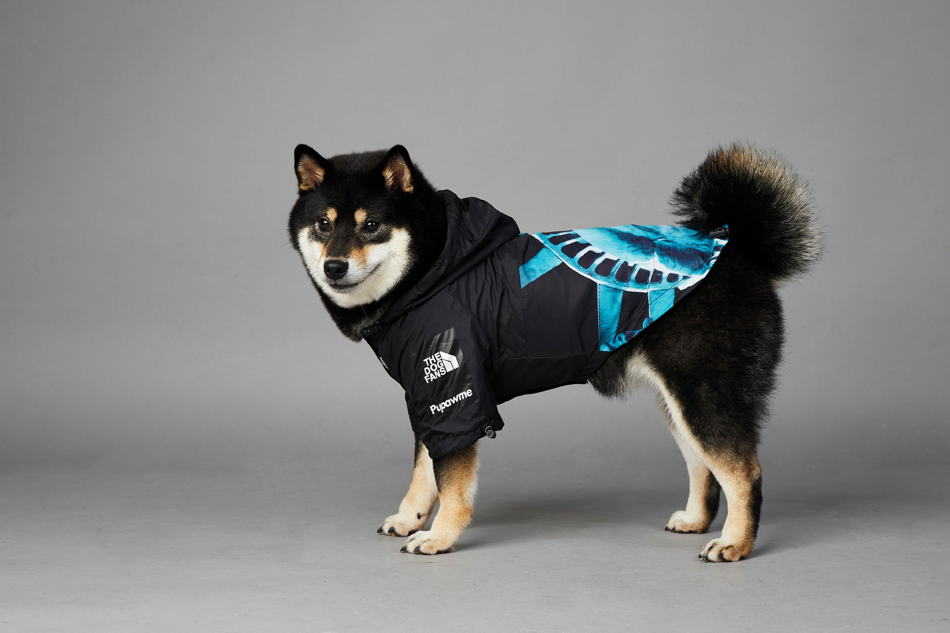 https://fulmo-img-server.com/perry-dog/cd60bb61-85d7-452b-a2c1-e829ea837dc8.jpg