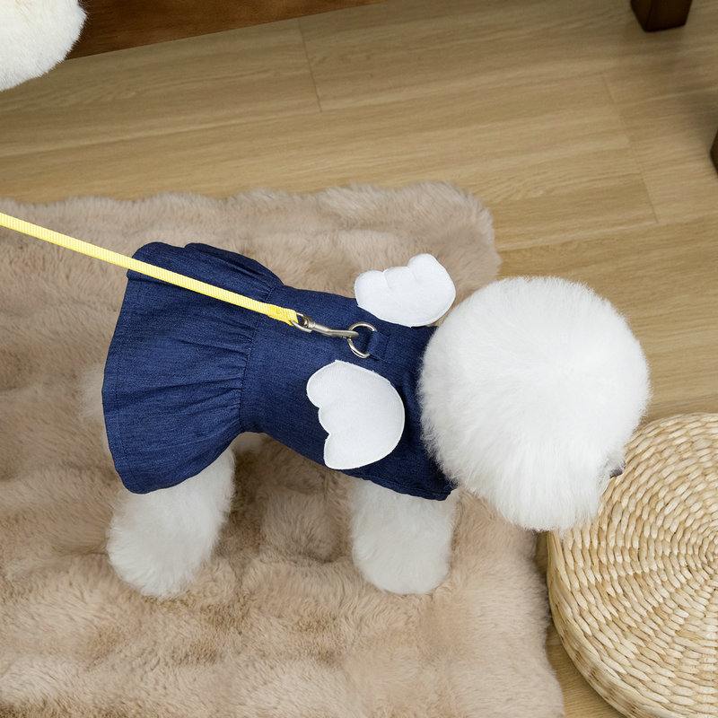 https://fulmo-img-server.com/perry-dog/cd822ce5-e1da-47d1-bdf4-01d95c06ee1b.jpg