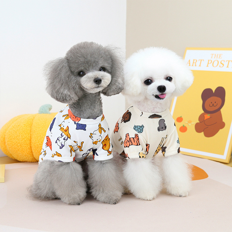 https://fulmo-img-server.com/perry-dog/cd92cf09-4adb-4669-82b8-dc4ee0d042a8.jpg