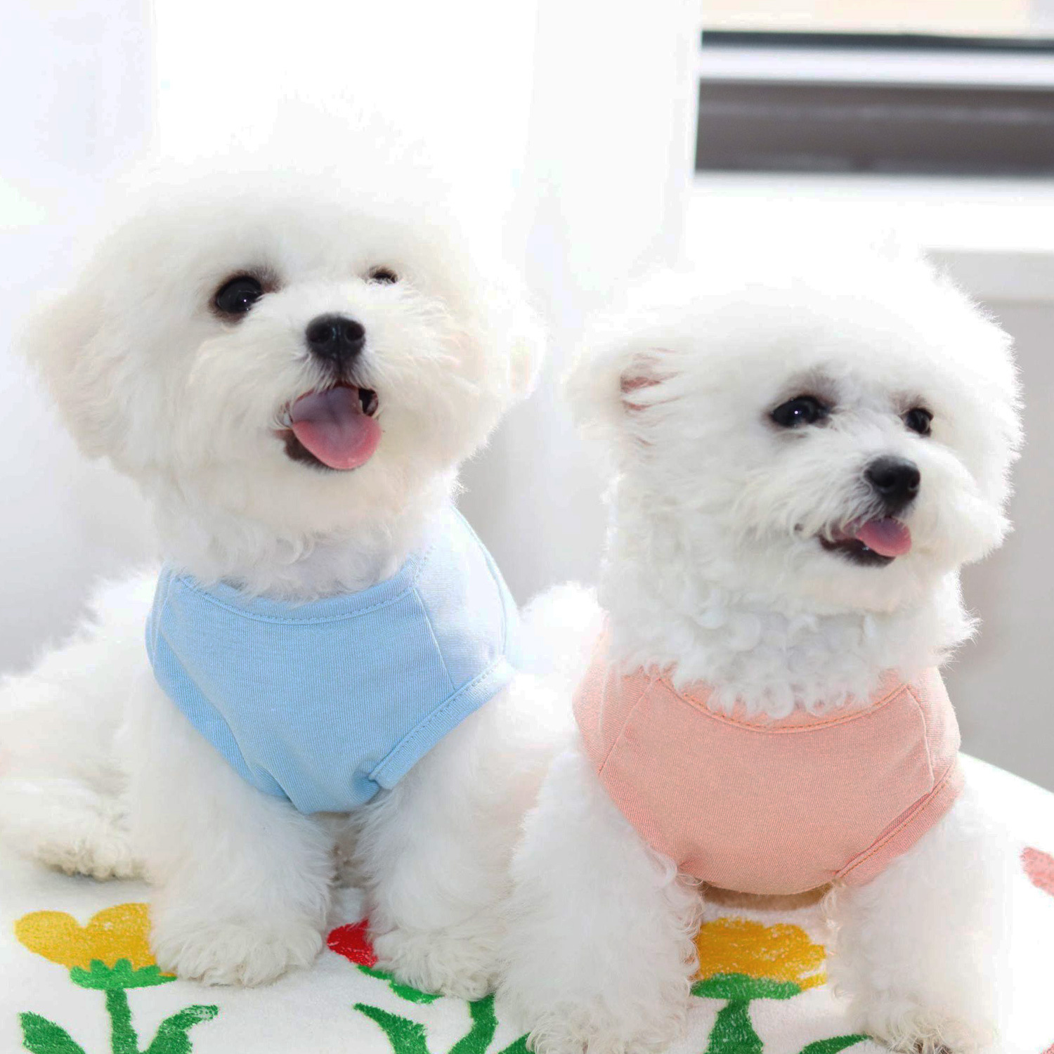 犬服 フルーツマーケット クールウェア