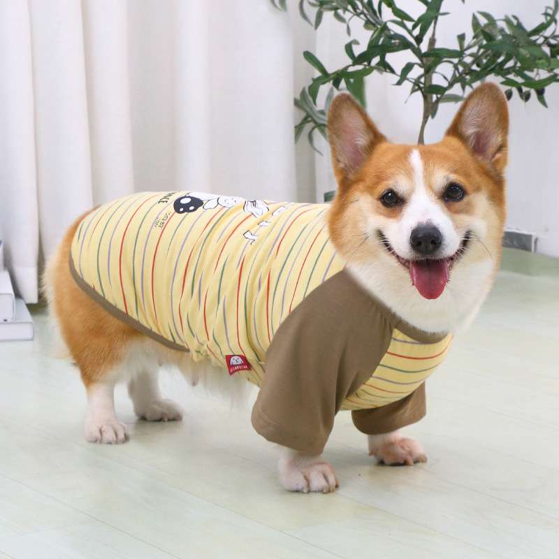 犬服  コーギー用ストライプ柄シャツ