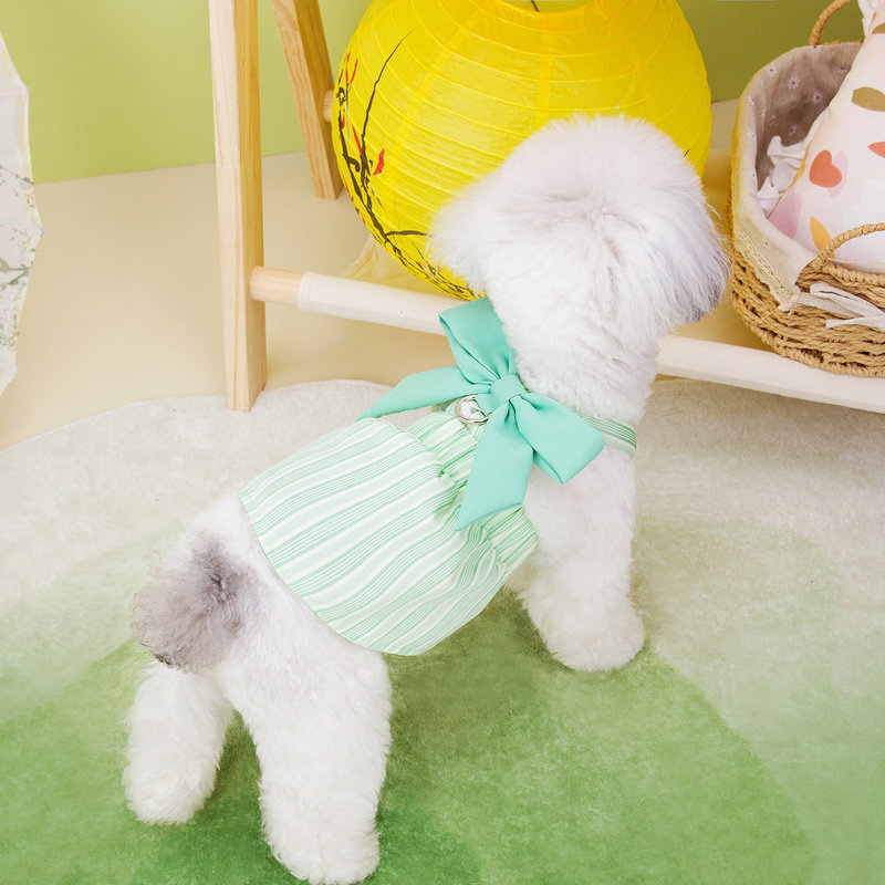 https://fulmo-img-server.com/perry-dog/d055dba3-158a-4aba-86c7-71c6399c6eff.jpg