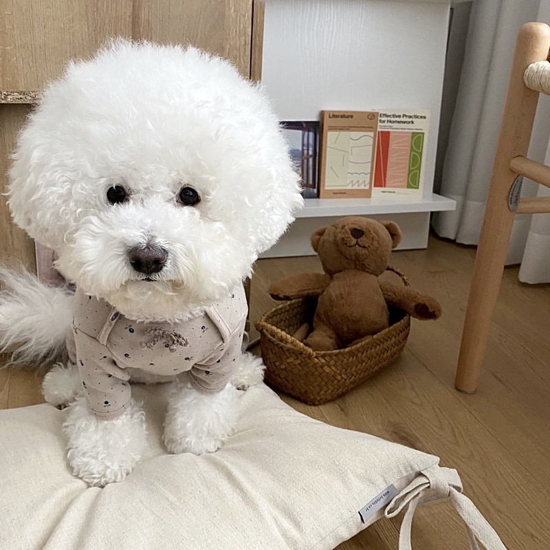 犬服 ふわもこおやすみロンパース